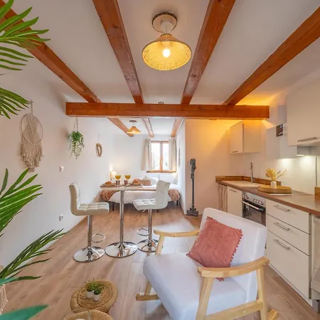 Le Celeste - Detente & Boheme Proche Centre Apartment Selestat