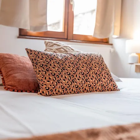 Le Celeste - Detente & Boheme Proche Centre Apartment Selestat