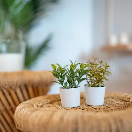 Apartment Le Celeste - Detente & Boheme Proche Centre Selestat