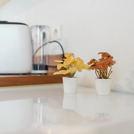 Apartment Le Celeste - Detente & Boheme Proche Centre