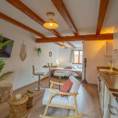 Apartment Le Celeste - Detente & Boheme Proche Centre